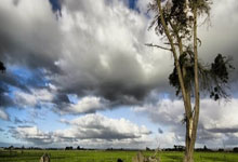 村长F1中国站采访：拉塞尔／马桶狼／瓦塞尔／周冠宇／乐扣／小汉／周杰伦.