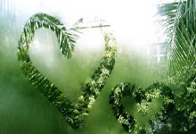 M88:WTA1000迈阿密站1/4决赛:佩古拉击败拉杜卡努,晋级半决赛.