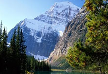 曝贝蒂斯买断安东尼前提,进欧冠有5000万!曼联.