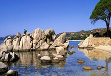 M88：WTA1000迈阿密站1／4决赛：佩古拉击败拉杜卡努，晋级半决赛.